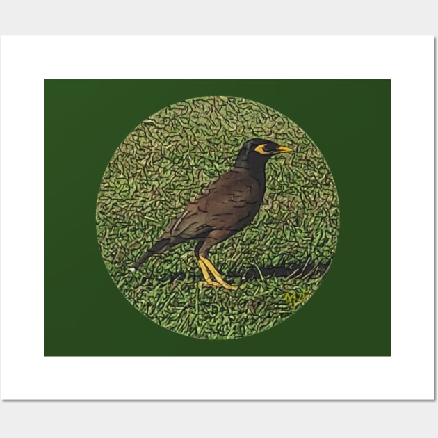 Myna Bird on Grass, photo art Wall Art by NadJac